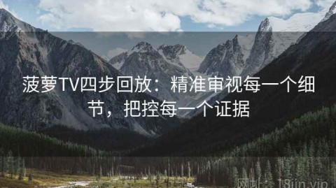 菠萝TV四步回放：精准审视每一个细节，把控每一个证据