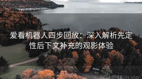 爱看机器人四步回放：深入解析先定性后下文补充的观影体验