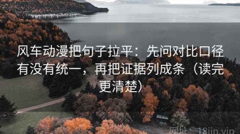 风车动漫把句子拉平：先问对比口径有没有统一，再把证据列成条（读完更清楚）