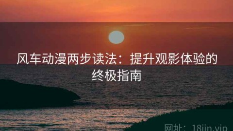 风车动漫两步读法：提升观影体验的终极指南