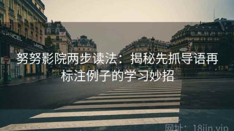 努努影院两步读法：揭秘先抓导语再标注例子的学习妙招