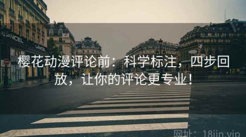 樱花动漫评论前：科学标注，四步回放，让你的评论更专业！