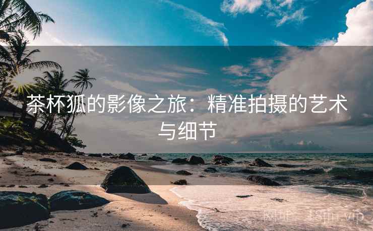 茶杯狐的影像之旅:精准拍摄的艺术与细节 茶杯狐的影像之旅:精准拍摄的艺术与细节