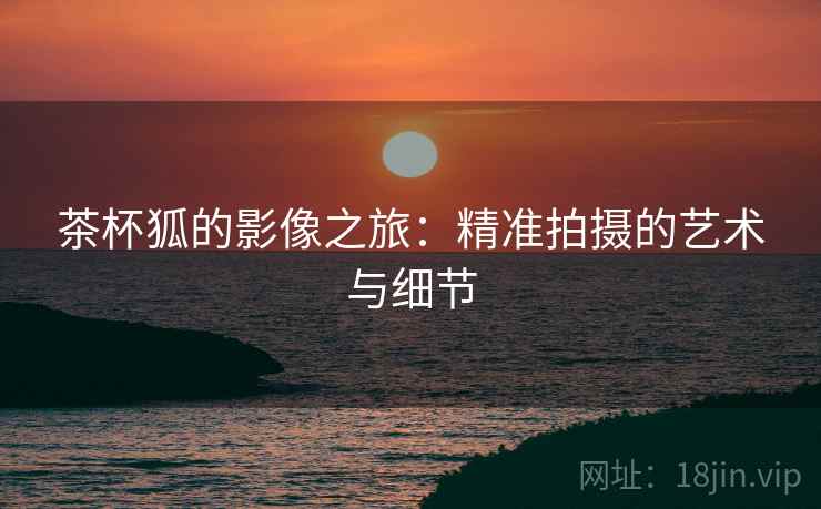 茶杯狐的影像之旅:精准拍摄的艺术与细节 茶杯狐的影像之旅:精准拍摄的艺术与细节