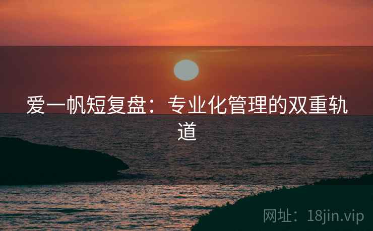 爱一帆短复盘：专业化管理的双重轨道