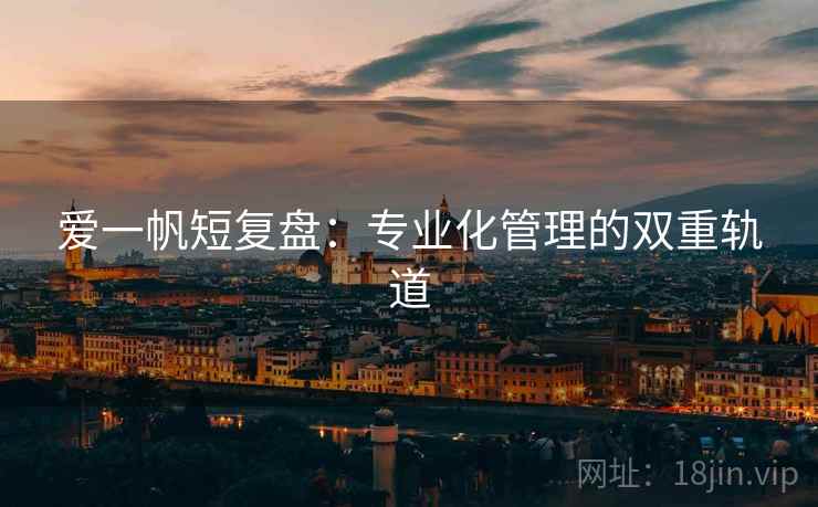 爱一帆短复盘：专业化管理的双重轨道